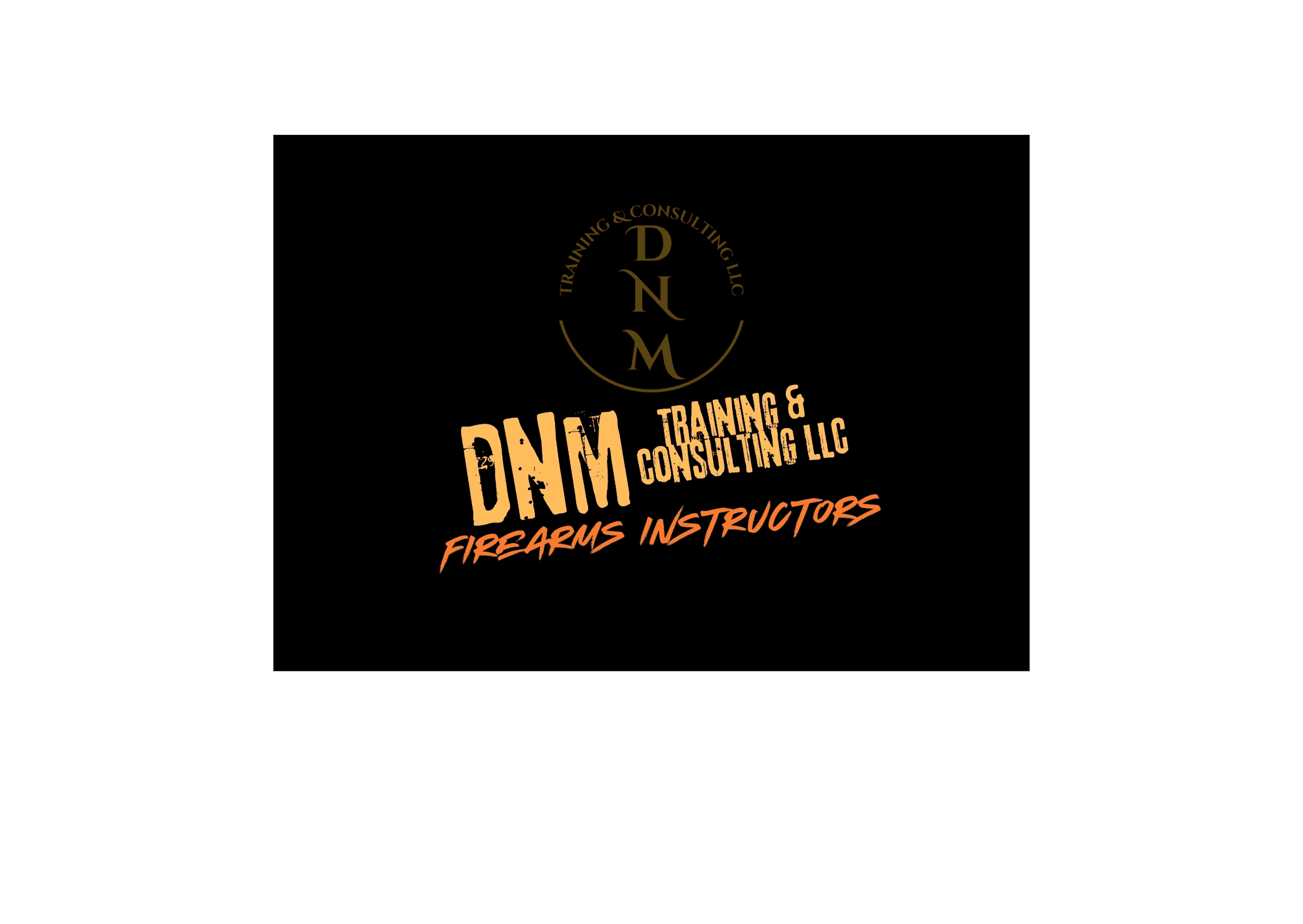 DNM Training & Consulting logo