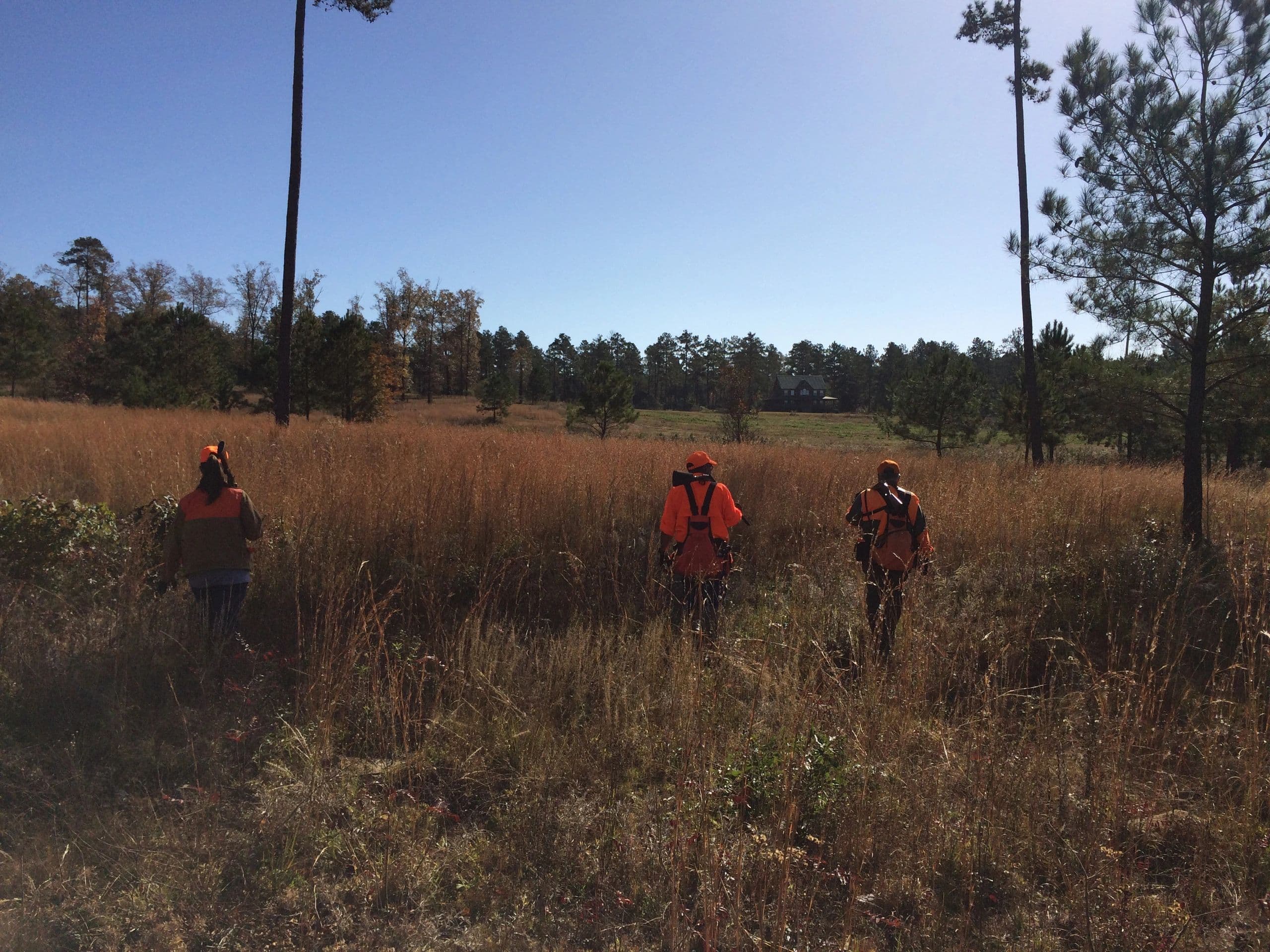 Black Creek Plantation logo