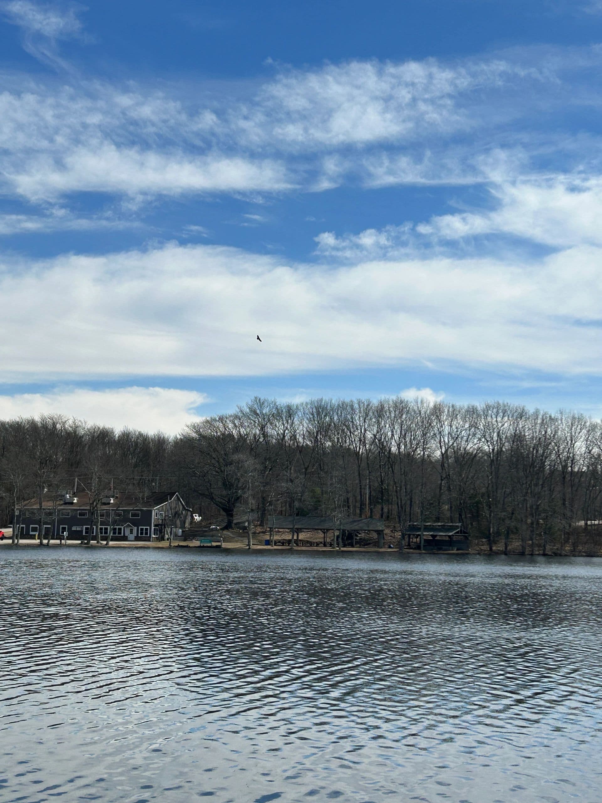 Singletary Rod & Gun Club logo