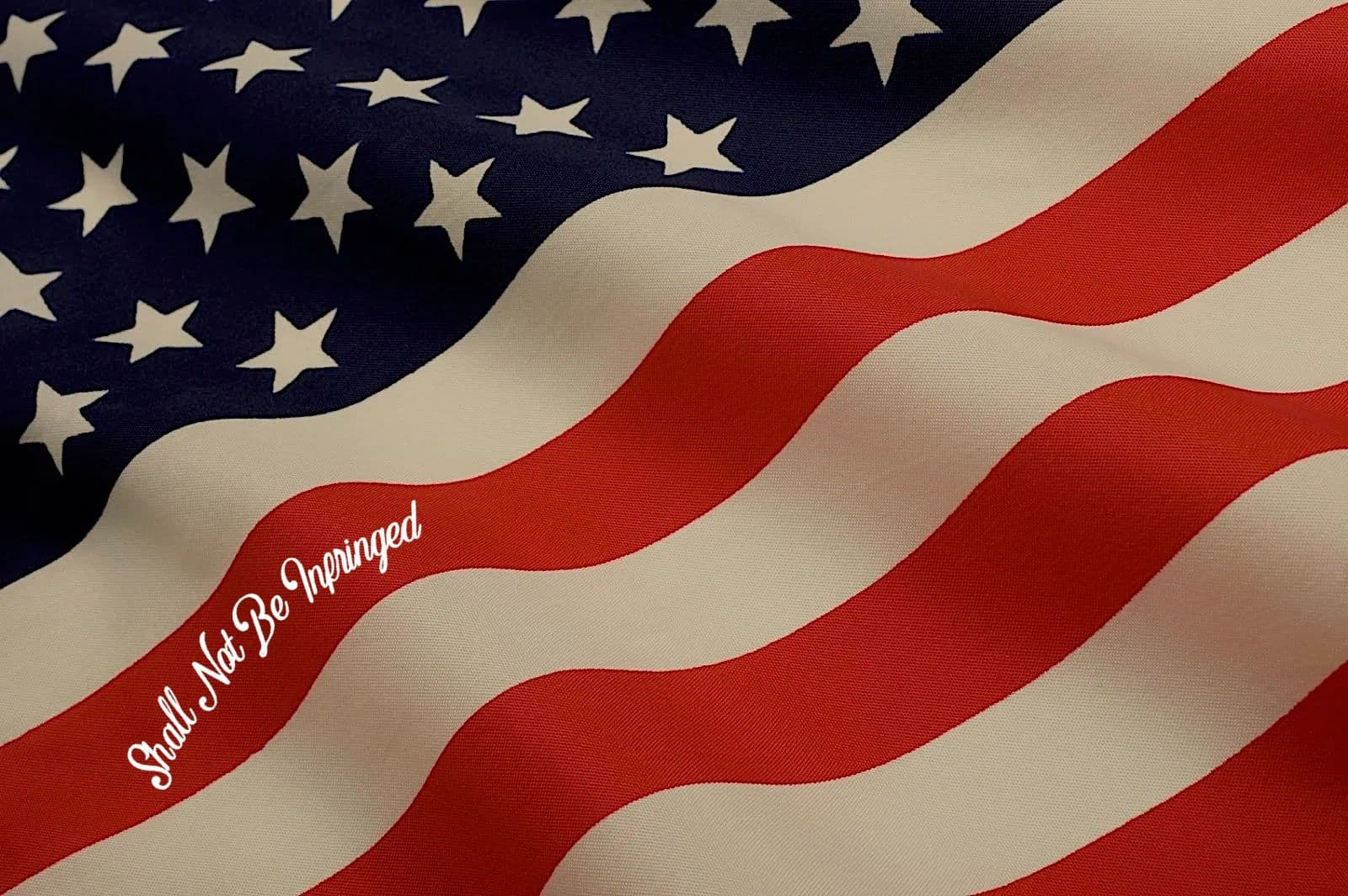 Cal-Patriot Defense logo