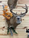 4 Rivers 3D Archery & Taxidermy