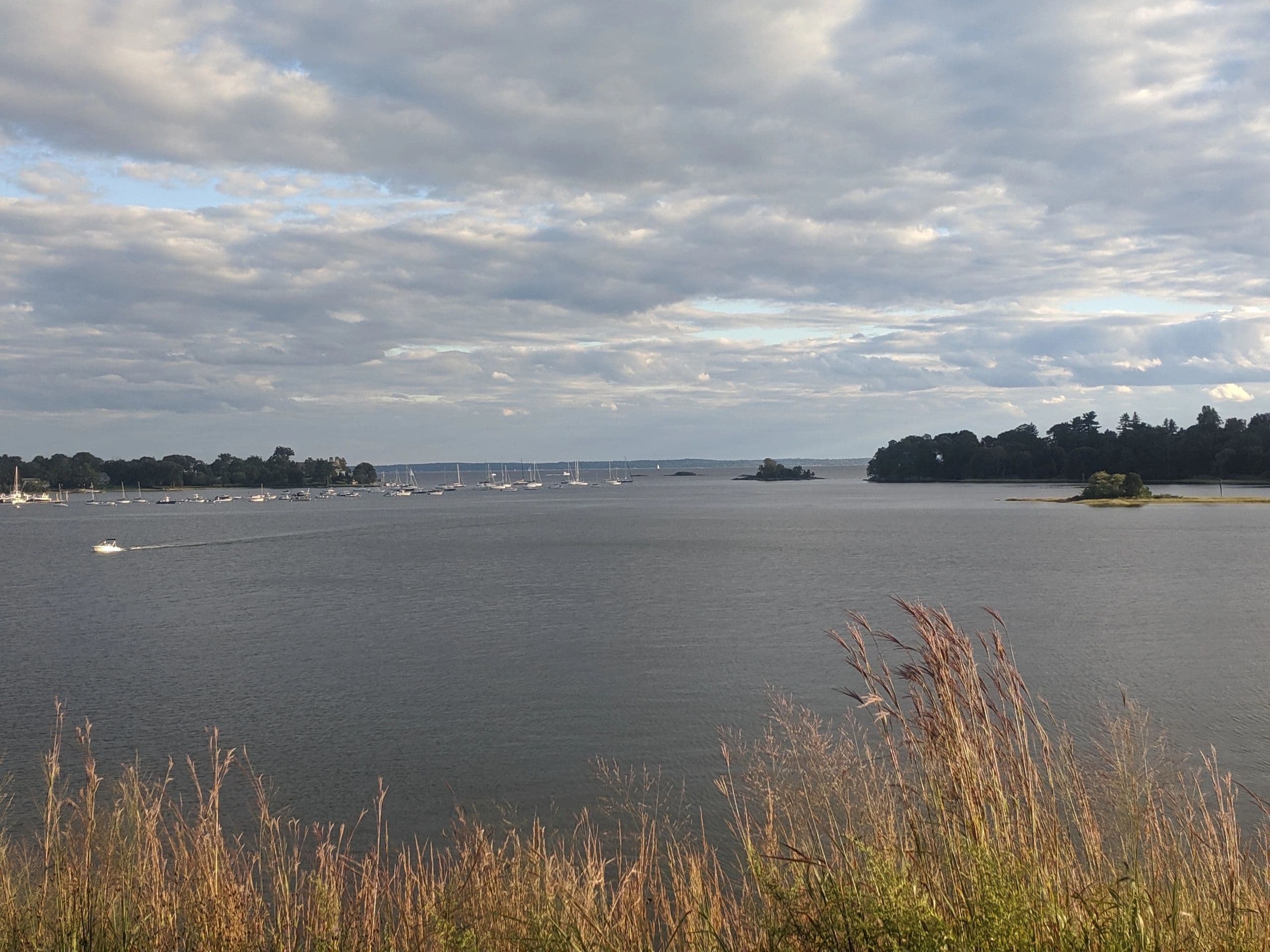 The Sportsmen's Den logo