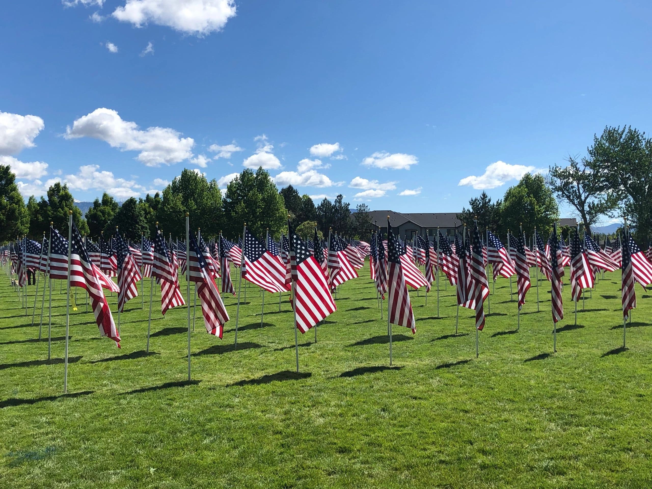 South West Idaho Firearms Training logo