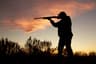 Taylor Creek Shooting Preserve & Sporting Clays