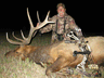 Fulldraw Outfitters Elk Hunts