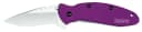 Kershaw 1620PUR Scallion 2.40″ Folding Drop Point Plain Bead Blasted 420HC SS Blade Purple Anodized Aluminum Handle Includes Pocket Clip 3