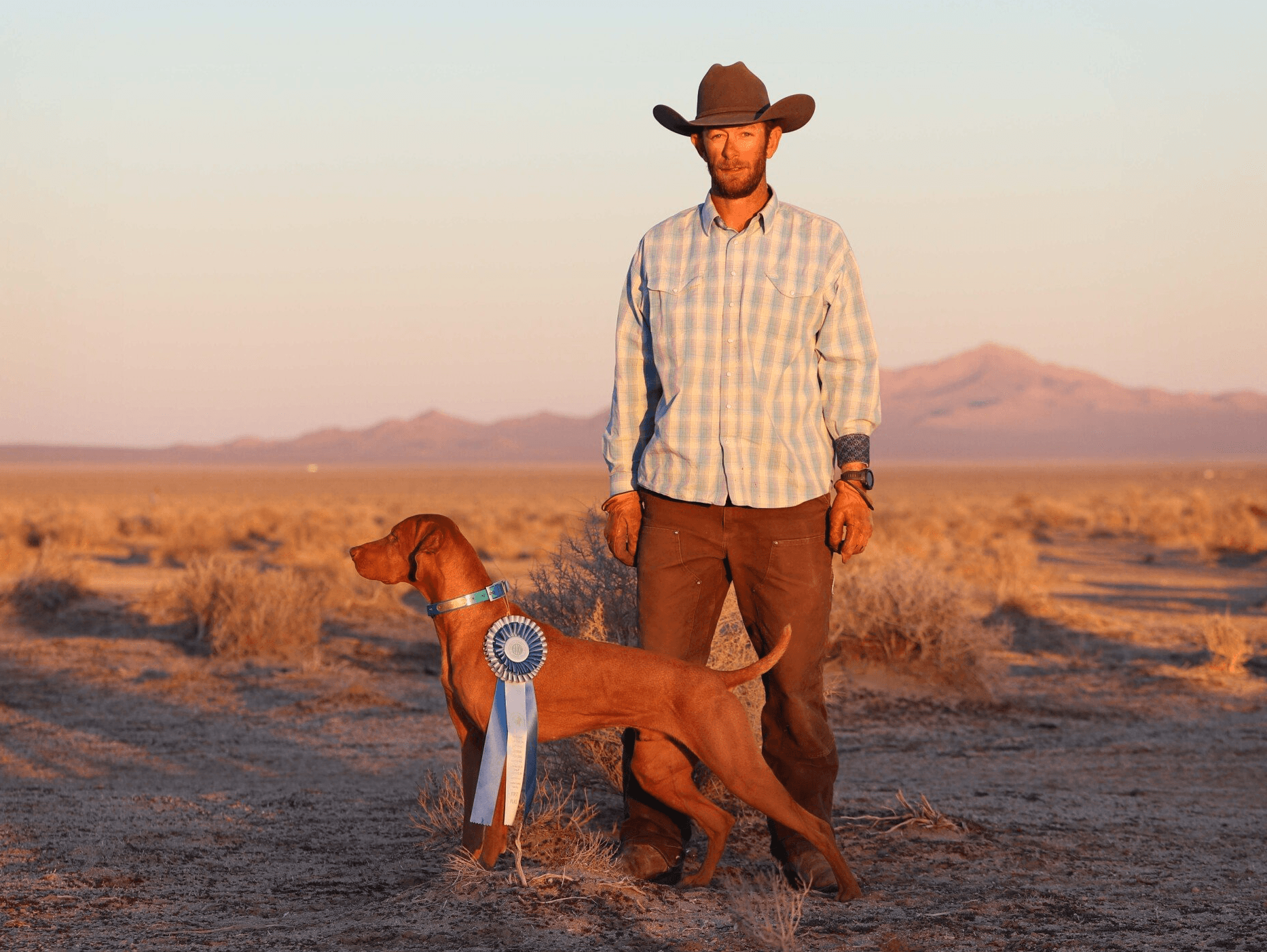 All Points Birddogs logo