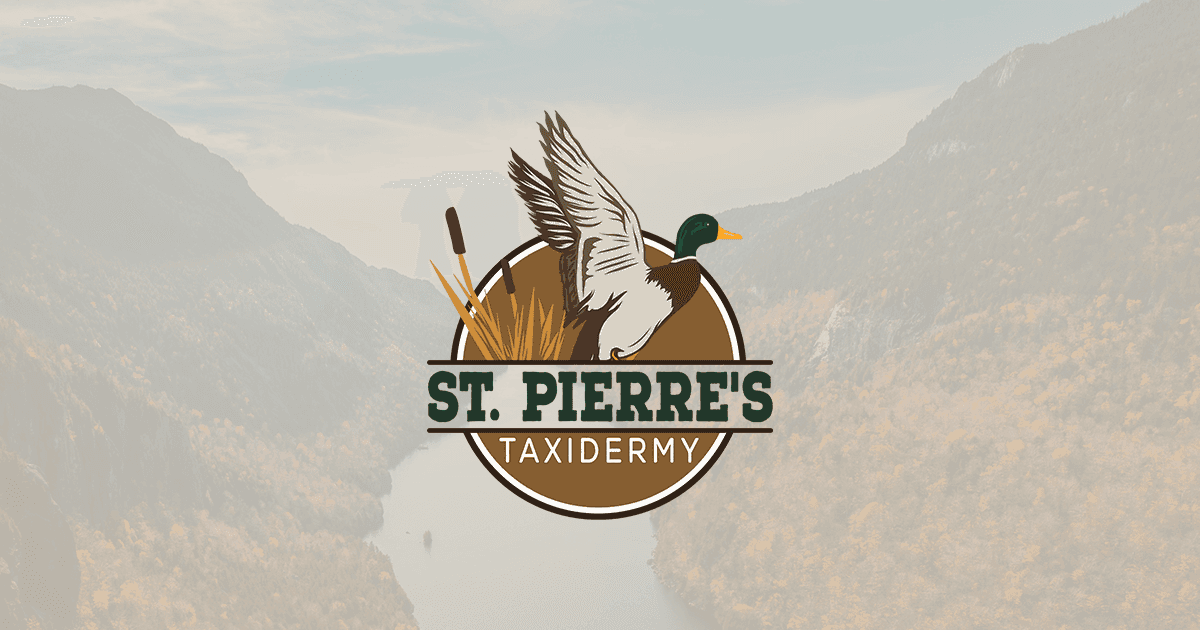 St Pierres Taxidermy logo