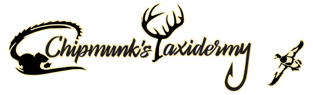 Chipmunk's Taxidermy logo