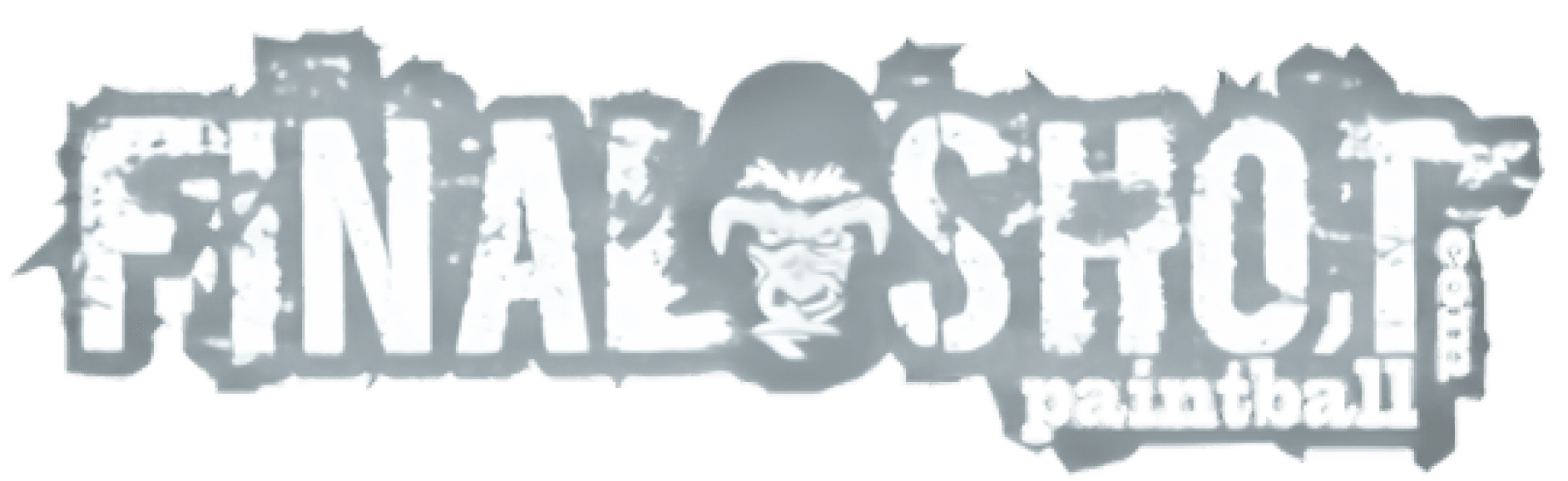 Airsoft Paintball Arena logo