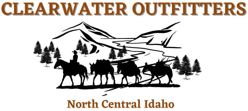 Clearwater Outfitters logo