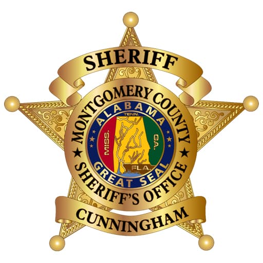 Mcso 1 logo