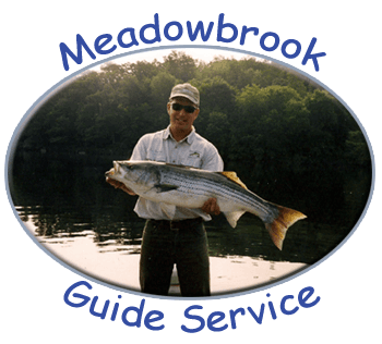 Meadowbrook Guide Service: Maine Trout Guide logo