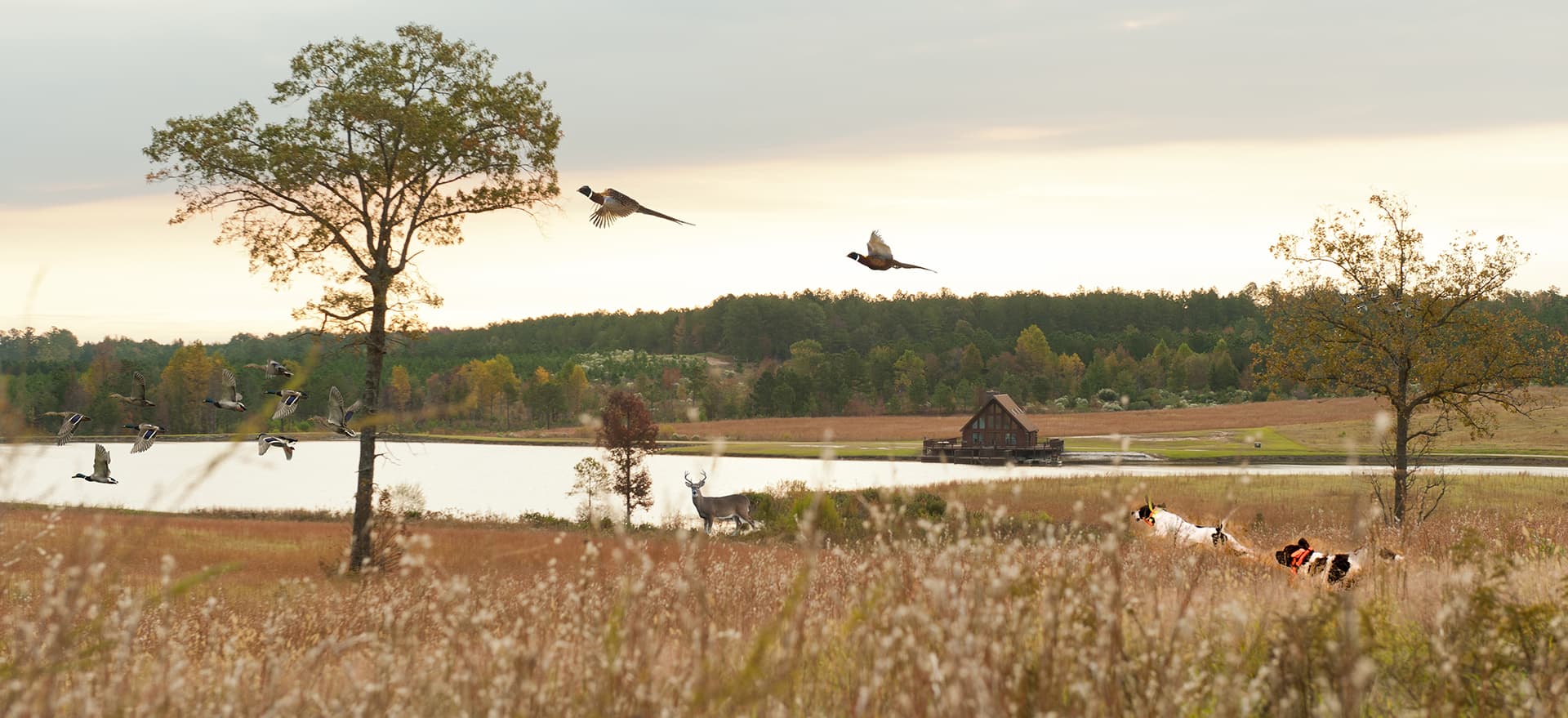 Moree's Sportsman's Preserve logo