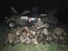 Night Vision Hog Guide LLC