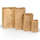Printed Paper Evidence Bags Style 4 1