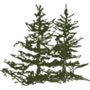 Pine Shadows logo