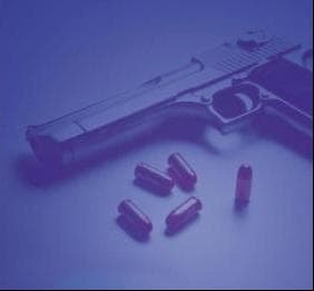 Mario Anglero - PINNACLE FIREARMS TRAINING,LLC. logo