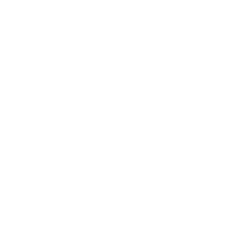 Raven Tactical logo