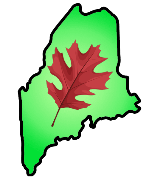 Red Oak Outfitters of Maine logo