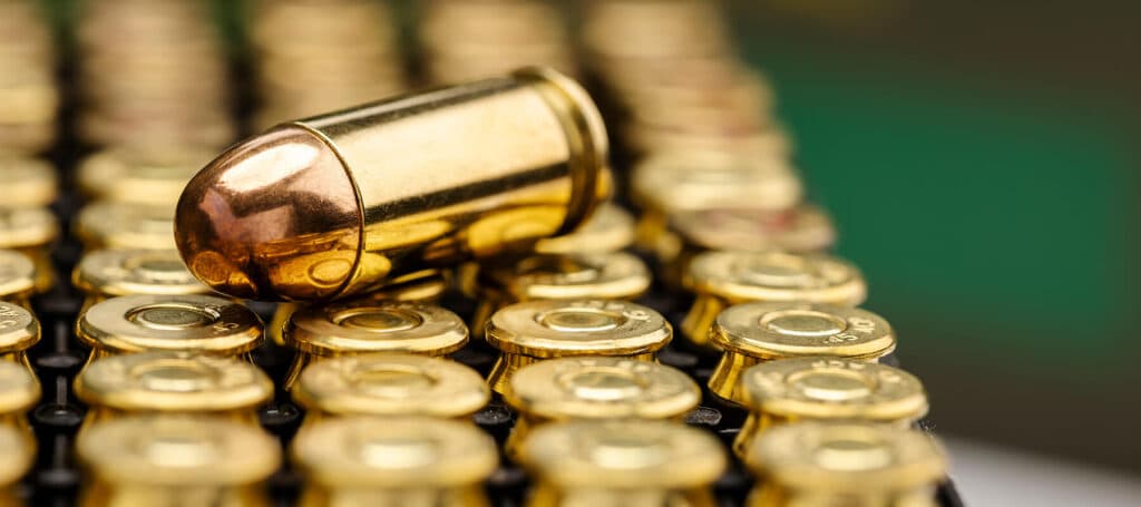 Firearms in Meridian, MS logo