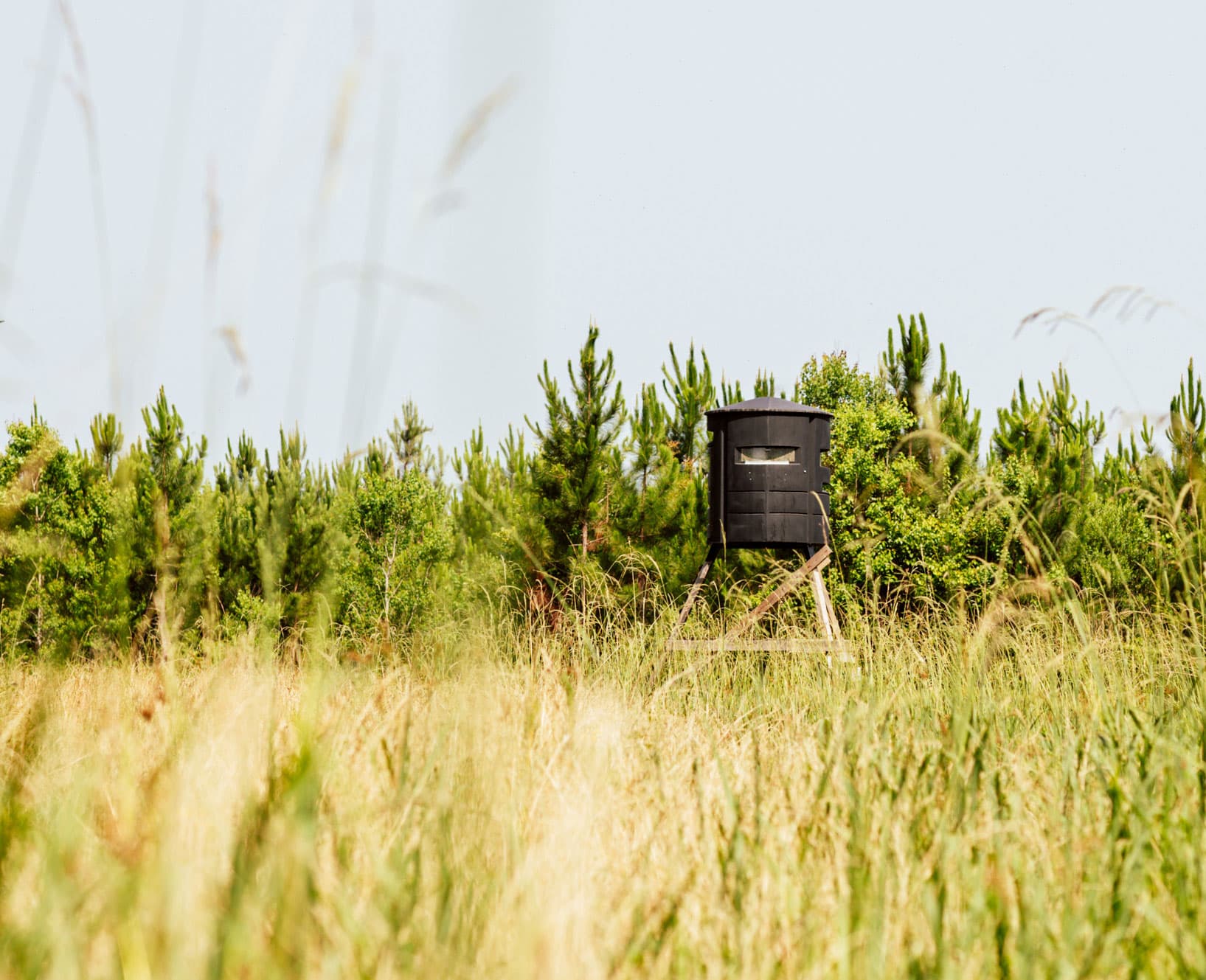 RoyOMartin Hunting Leases logo