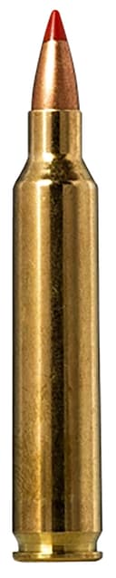 Norma .204 Ruger 40gr – 20rd 4