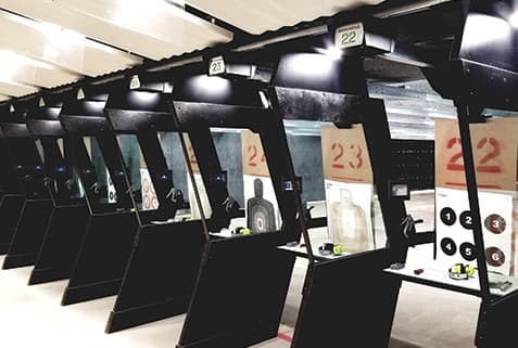 Silver Eagle Group logo