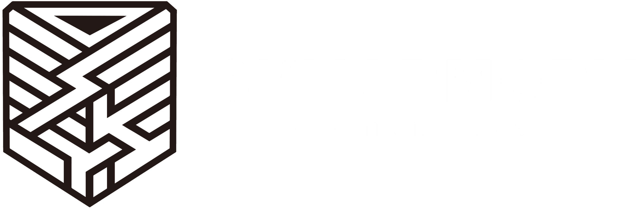 Sky Armory logo