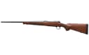 WIN M70 Fthwt 243WIN 22″ BLK Wlnt 4