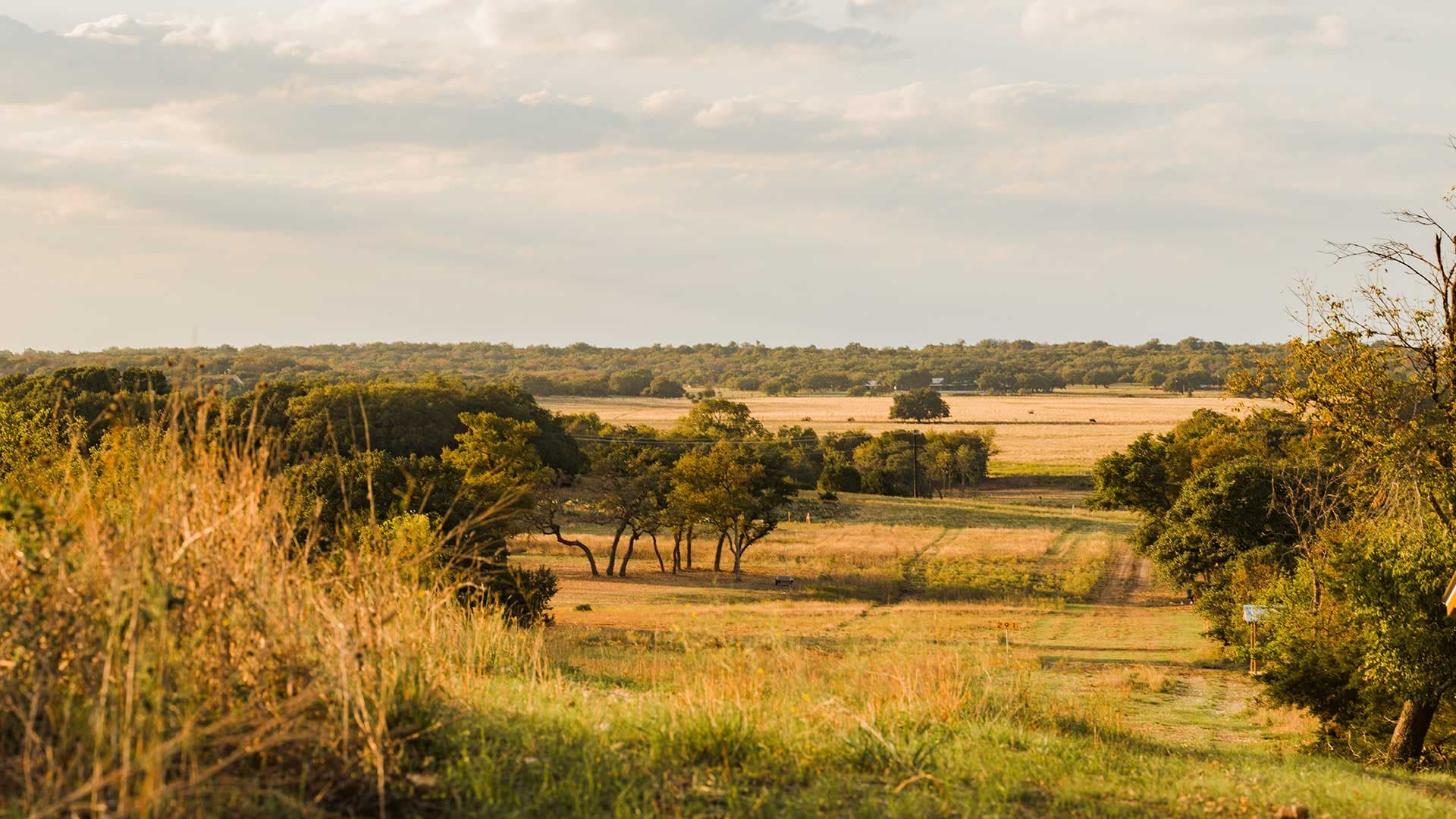 Staccato Ranch Activities logo