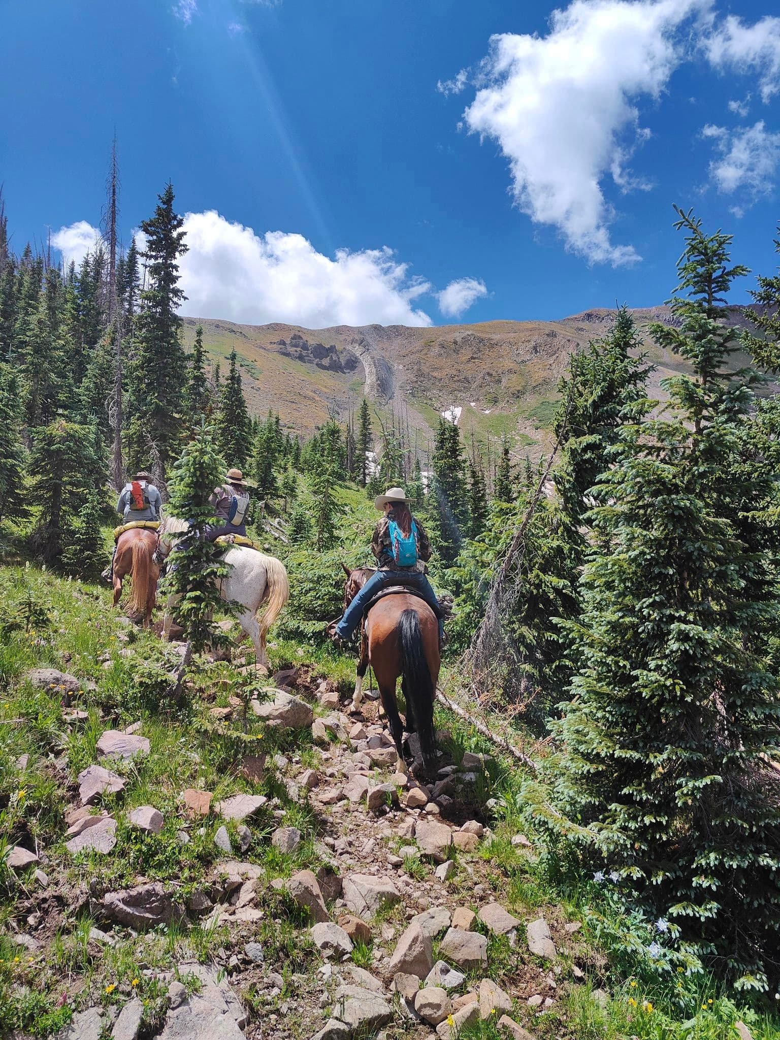 Backcountry Outfitters logo