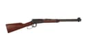 Henry 22 Caliber Lever Action Rifle 1