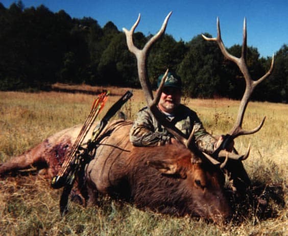 Archery Elk Hunts - Tomahawk Outfitters logo