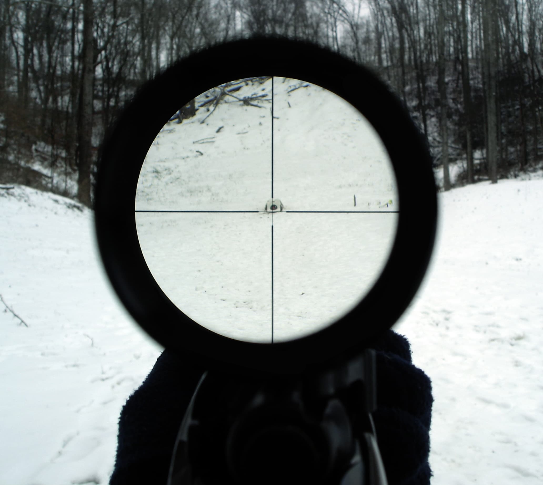 How to Choose a Rifle Scope: Optics Buying Guide
