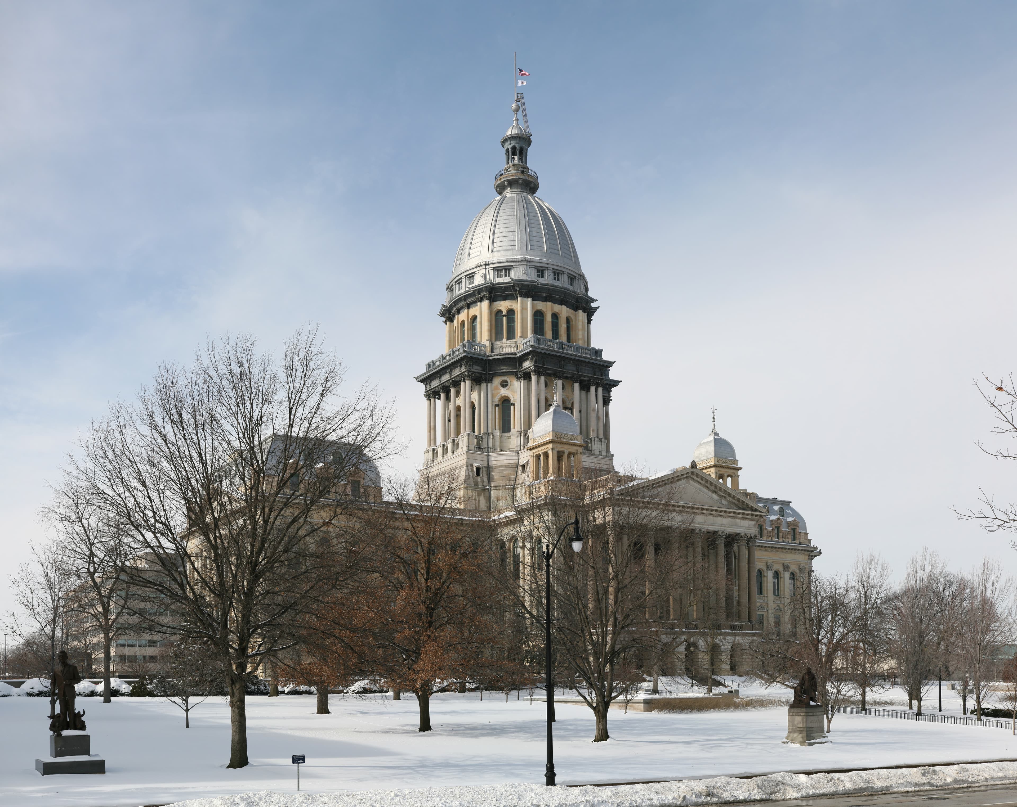 Illinois Firearms Laws: FOID and PICA Guide