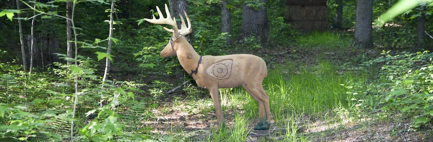 Vingt Neuf Bowmen Archery Club logo