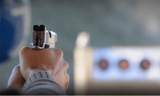 Wicen Shooting Range logo