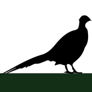 Western Mass Bird Dog Club logo