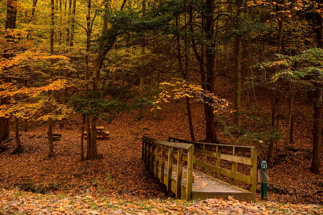 Kanawha State Forest Public Shooting Range logo