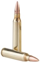 5.56 NATO 55gr – 125rd 1