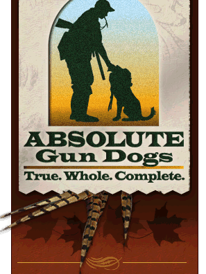 Absolute Gun Dogs logo