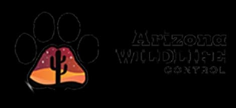 Arizonawildlifecontrol logo