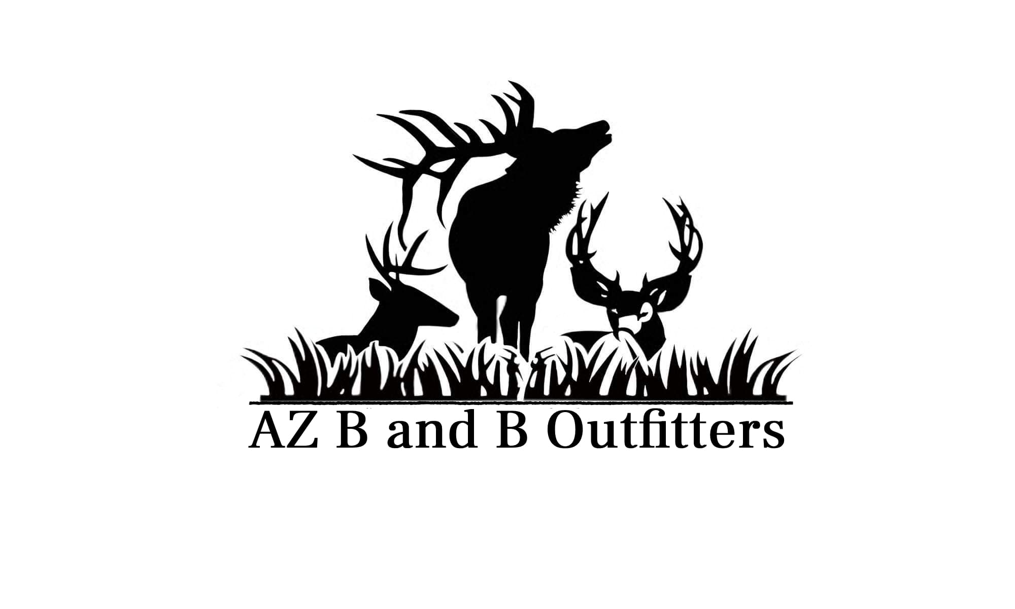 AZ B and B Outfitters logo