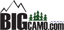 Bigcamo logo