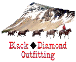Black Diamond Outfitting logo