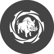 Boresight Solutions logo