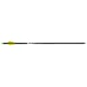 Wicked Ridge Lighted Alpha Brite Arrows Aluminum 20 in. 3 pk. 2