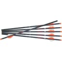 Ravin R18 Arrows .003 16 in. 6 pk. 1