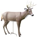Primos Scar Deer Decoy 3